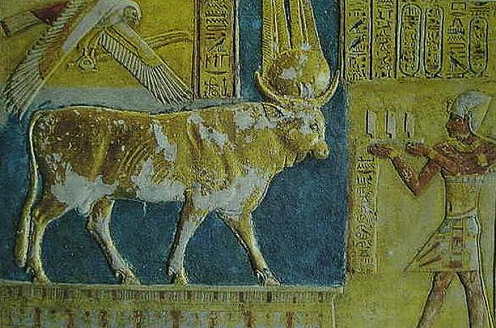 Ancient Egypt sacred offer to bull